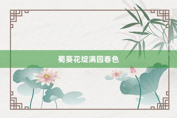 蜀葵花绽满园春色