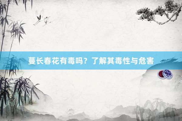 蔓长春花有毒吗？了解其毒性与危害