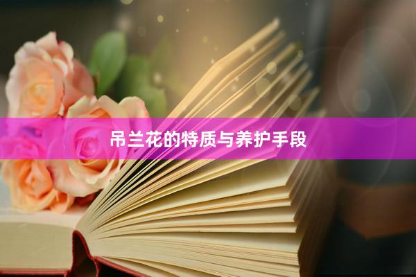 吊兰花的特质与养护手段