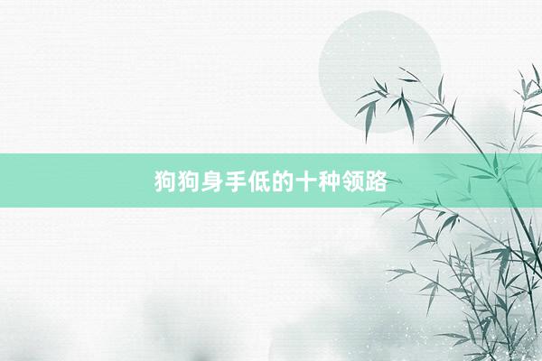 狗狗身手低的十种领路