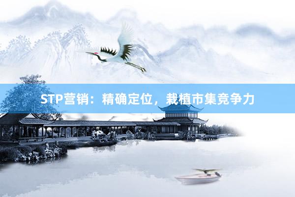 STP营销：精确定位，栽植市集竞争力