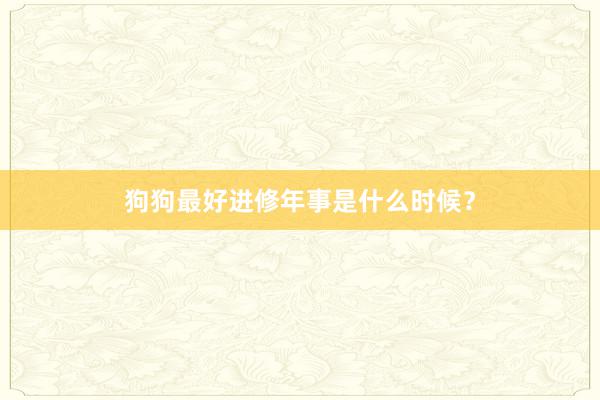 狗狗最好进修年事是什么时候？